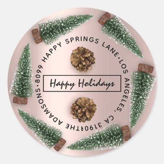 ハッピーホリデーズアドレスファミリー名住所RSVP Ro ラウンドシール (正面)