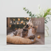 ハッピーホリデーズカスタムクリスマス猫かわいい シーズンカード (スタンド正面)