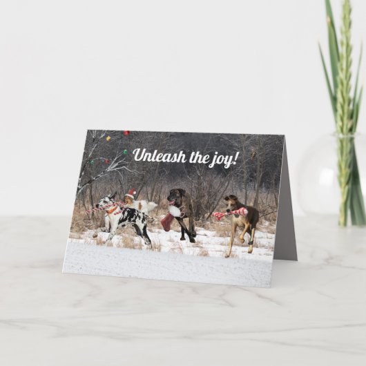 ハッピーホリデーズカードドッグ シーズンカード (正面)