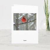 ハッピーホリデーズカード(赤（鳥）ショウジョウコウカンチョウ) シーズンカード (裏面)