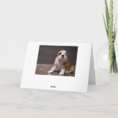 ハッピーホリデーズスノーレッド シーズンカード (裏面)