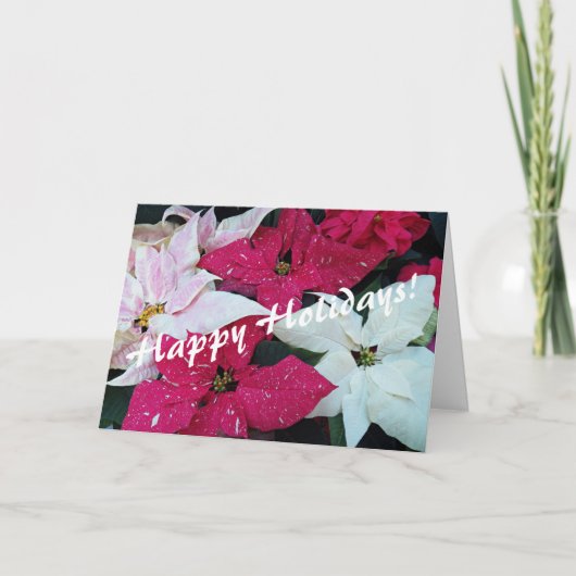 ハッピーホリデーズフェスティバルポインセティアス シーズンカード (正面)