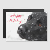 ハッピーホリデーズブラックラボ (正面/裏面)