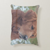 ハッピーホリデーズペット枕 アクセントクッション (裏面(縦))