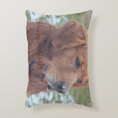 ハッピーホリデーズペット枕 アクセントクッション (正面(垂直))