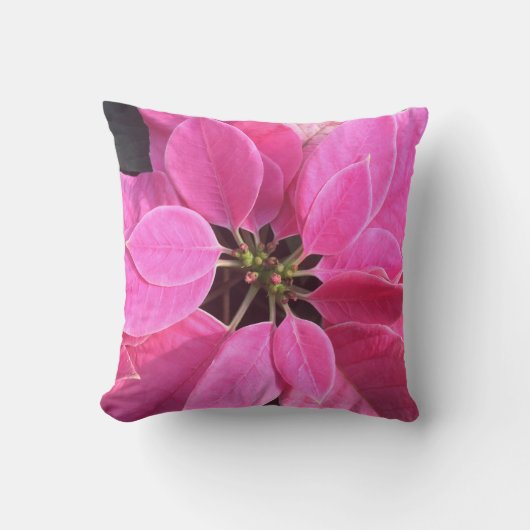 ハッピーホリデーズポインセチア クッション (正面)