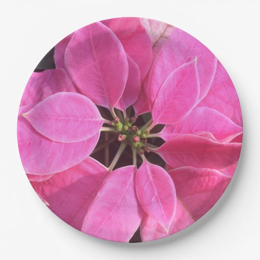 ハッピーホリデーズポインセチア ペーパープレート (正面)