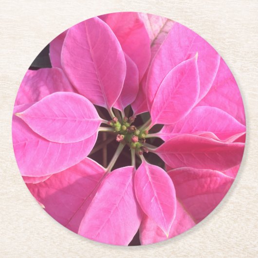 ハッピーホリデーズポインセチア ラウンドペーパーコースター (正面)