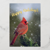ハッピーホリデーズ(鳥)ショウジョウコウカンチョウオンエバーグリーンイン雪 箔シーズンカード (正面)