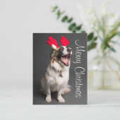 ハッピーホリデーパピー ポストカード (スタンド正面)