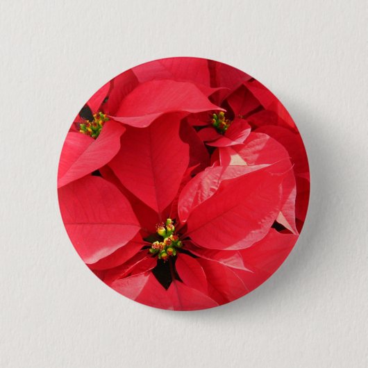 ハッピーホリデーボタン 缶バッジ (正面)