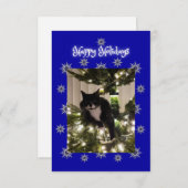 ハッピーホリデー挨拶。タキシード猫。 (正面/裏面)