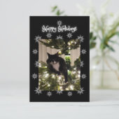 ハッピーホリデー挨拶。タキシード猫。 (スタンド正面)