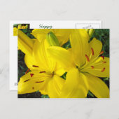 ハッピーホリデー!イエローリリー花はがき シーズンポストカード (正面/裏面)
