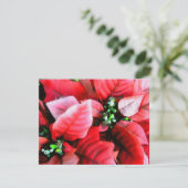 ハッピーホリデー_ シーズンカード (スタンド正面)