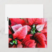 ハッピーホリデー_ シーズンカード (正面/裏面)