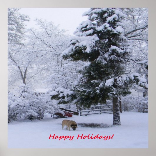 ハッピーホリデー！..... ポスター (正面)