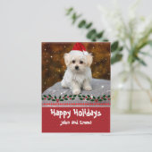 ハッピーホリデー、マルチーズ子犬。 シーズンポストカード (スタンド正面)