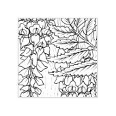 ハッピーホローラクーン – 藤 ラバースタンプ (インプリント)