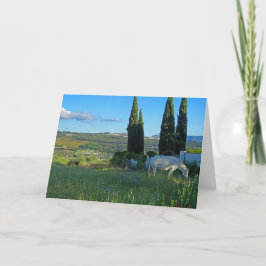 ハッピーホース カード