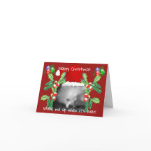 ハッピーポメラニア犬パピークリスマス