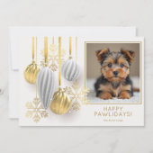 ハッピーポリデイズの犬の写真 クリスマス (正面)