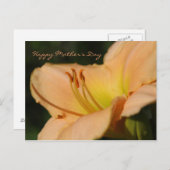 ハッピーマザーの日はがき ポストカード (正面/裏面)
