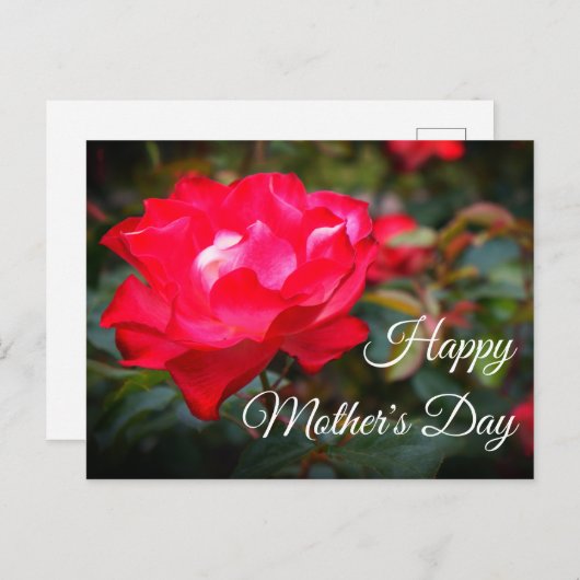 ハッピーマザーズデイさくらんぼパフェバラ#2ハガキ ポストカード (正面/裏面)