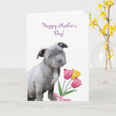 ハッピーマザーズデイピットブルパピーカード カード (黄色い花)