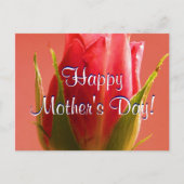 ハッピーマザーズデイピンクローズI ポストカード (正面)