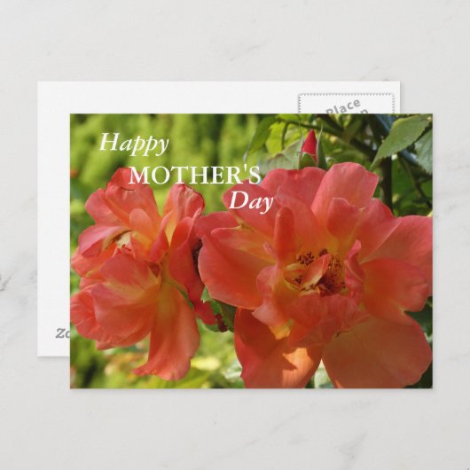 ハッピーマザーズデイピンクローゼポストカード ポストカード (正面/裏面)
