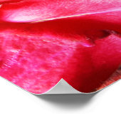 ハッピーマザーズデイフローラ ポスター (角)