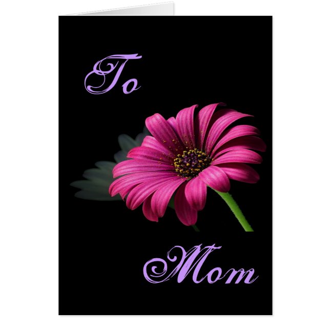 ハッピーマザーズデイブライトピンクデイジーI (正面)