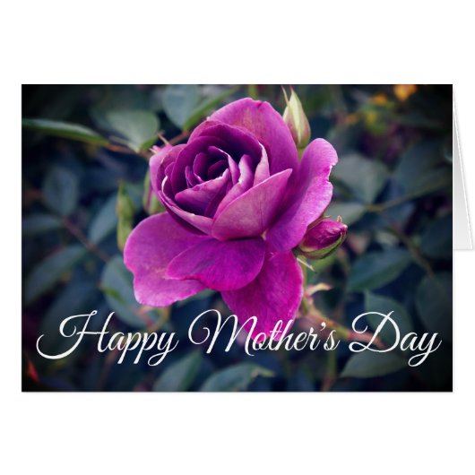 ハッピーマザーズデイブルゴーディアイスバーグバラ#2カード (正面横)