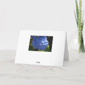 ハッピーマザーズデイブルーハイビスカスカード カード (裏面)