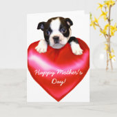 ハッピーマザーズデイボストンテリアカード カード (黄色い花)