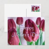 ハッピーマザーズデイローゼー・チューリップ ポストカード (正面/裏面)