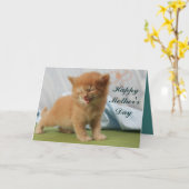 ハッピーマザーズデイ子猫 カード (黄色い花)