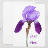 ハッピーマザーズデイ紫かわいらしの虹彩フローラ4母 シーズンカード (正面/裏面)