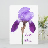 ハッピーマザーズデイ紫かわいらしの虹彩フローラ4母 シーズンカード (スタンド正面)