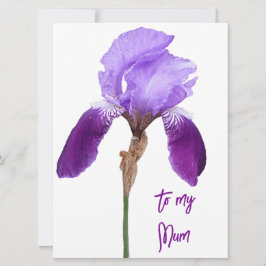 ハッピーマザーズデイ紫かわいらしの虹彩フローラ シーズンカード