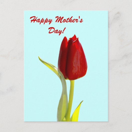 ハッピーマザーズデイ ポストカード (正面)