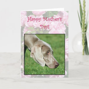 ハッピーマザーズデイWeimaranerグリーティングカード カード