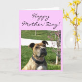 ハッピーマザーズデーピットブルグリーティングカード カード (黄色い花)