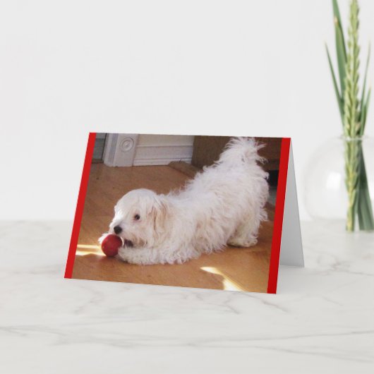 ハッピーマザーズデー – ハバニーズの子犬 カード (正面)