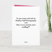 ハッピーマザーズ日春ピンクさくらんぼの花 カード (裏面)