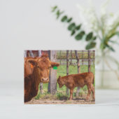 ハッピーマザーズ・デイ！ ポストカード (スタンド正面)