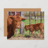 ハッピーマザーズ・デイ！ ポストカード (正面/裏面)