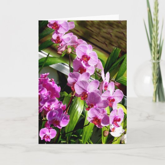 ハッピーマザーデイカード カード (正面)