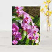 ハッピーマザーデイカード カード (黄色い花)